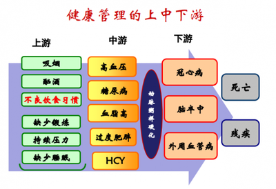 夏萌專家分享 健康管理與營養醫學經驗之談，顛覆你的思維！